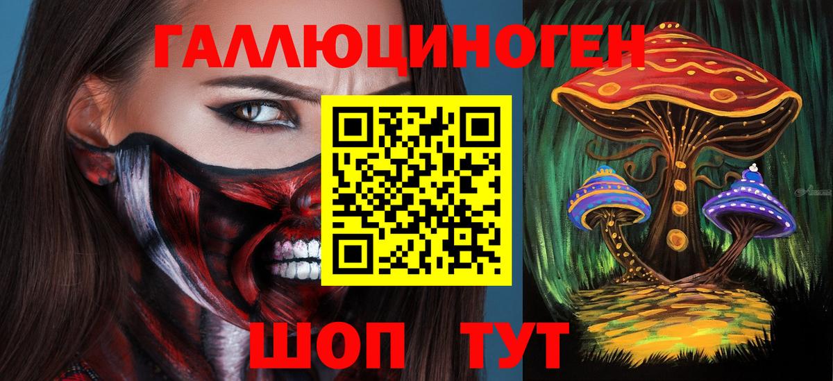 Звенигород  Псилоцибиновые грибы GOLDEN TEACHER  Вход с VPN  Псилоцибиновые грибы мухоморы 