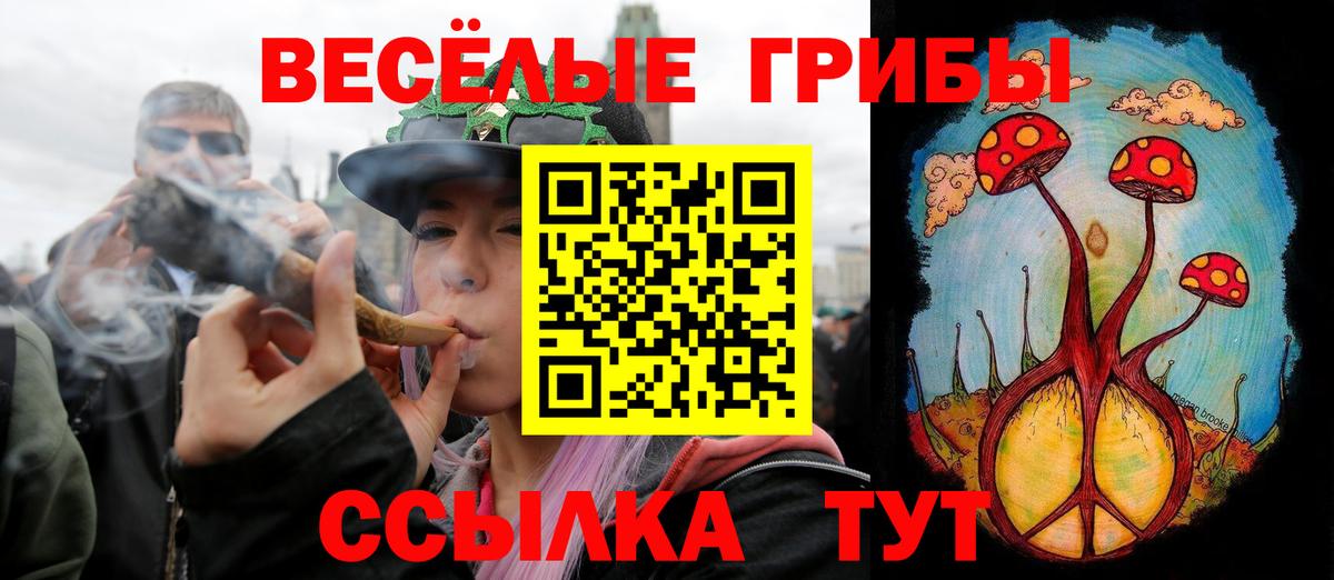 Псилоцибиновые грибы мицелий Звенигород